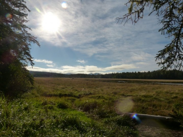 Blick ins trockengelegte Land