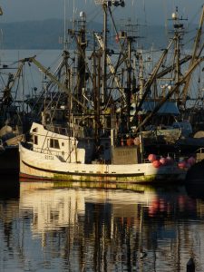 Hafenszene in Port Hardy